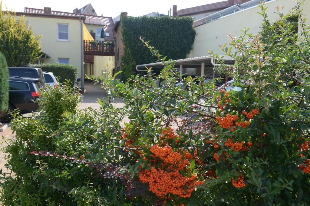 Hotel-Pension Mandy - Adults Only Senftenberg Bagian luar foto