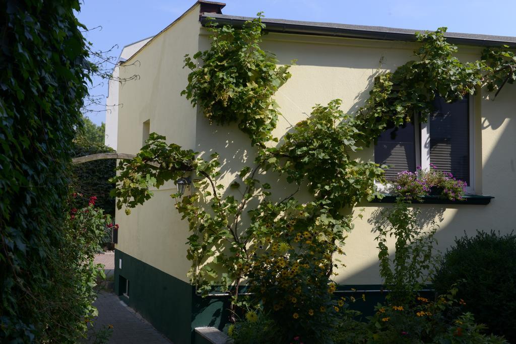 Hotel-Pension Mandy - Adults Only Senftenberg Bagian luar foto